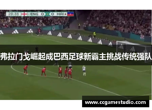 弗拉门戈崛起成巴西足球新霸主挑战传统强队