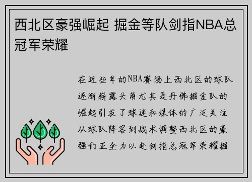 西北区豪强崛起 掘金等队剑指NBA总冠军荣耀
